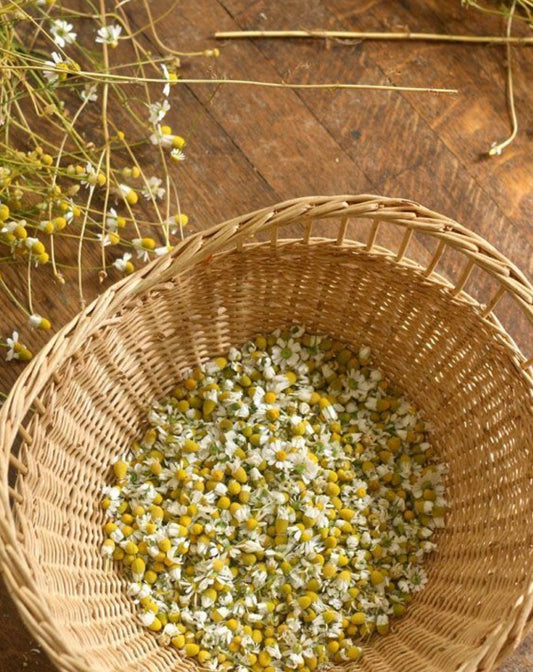 CHAMOMILE FLOWERS